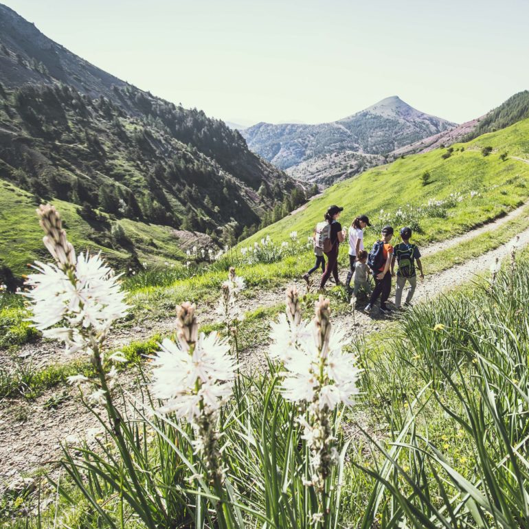 Cet été, la Maison des guides des Portes du Mercantour à Valberg vous propose de nombreuses activités. Pour nous en parler, Cédric Robion, accompagnateur en montagne, moniteur VTT et membre du bureau des guides OEROC. Il est notre invité de la semaine sur Oxygène.