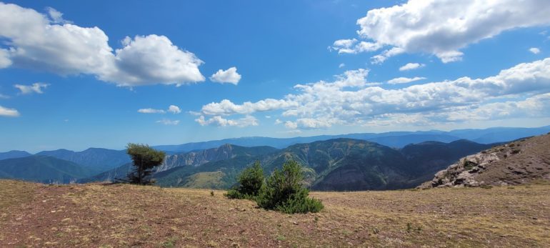 Cédric Robion est moniteur VTT et membre d'OEROC, la Maison des Guides des portes du Mercantour. Zoom avec lui sur toutes les activités proposées cet été en montagne à Valberg.