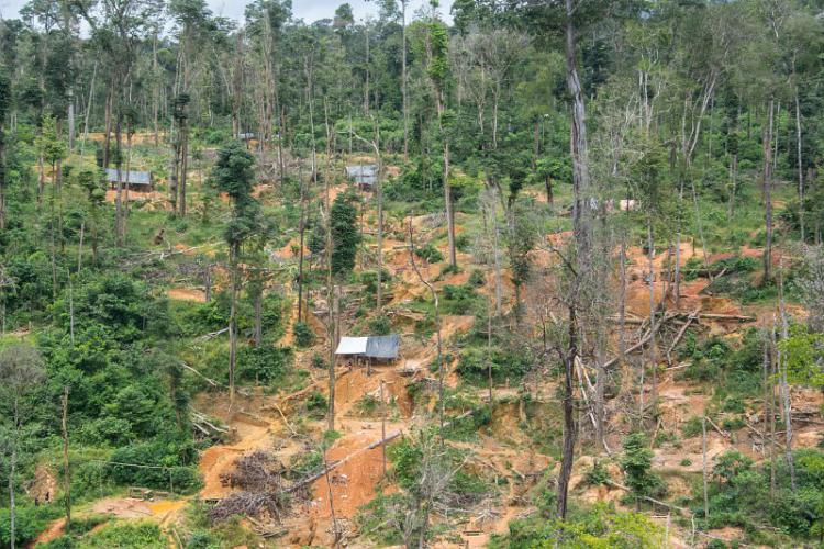 Orpaillage illégal en Guyane, photographie du Parc amazonien de Guyane