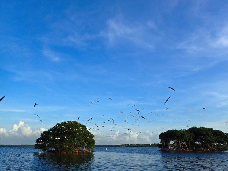 Le Parc national de Guadeloupe, une réserve de biosphère, photographie du Parc national de Guadeloupe