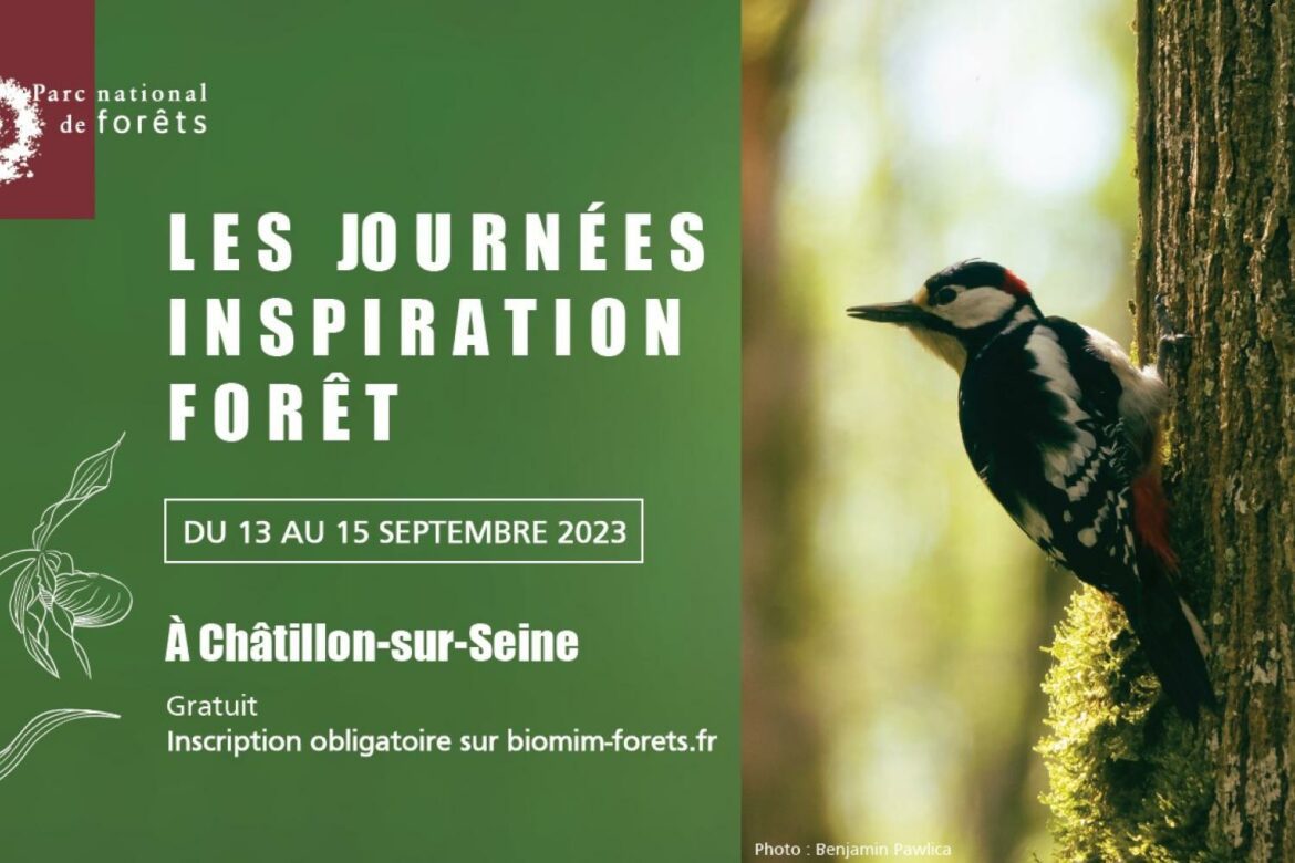 Journées inspiration Forêt, image du Parc national de forêts