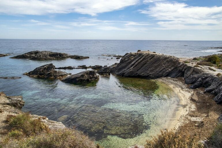 La laisse de mer joue un rôle essentiel, mais souvent méconnu. Photographie de ELG21 de Pixabay