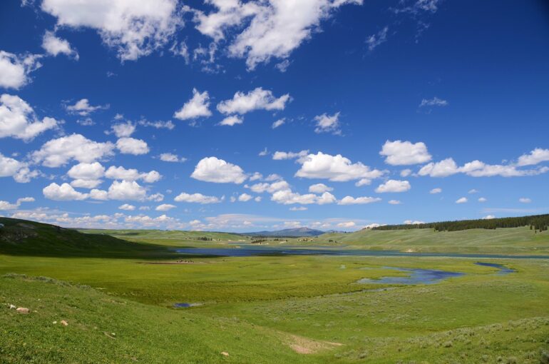 La nature est à l'honneur, même à la rentrée ! Photographie de Steppinstars de Pixabay